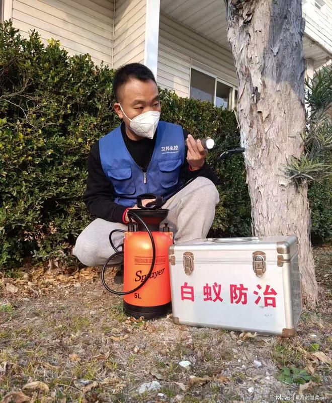廣州市白蟻防治服務(wù)全指南 專(zhuān)業(yè)消殺，全市縣鎮(zhèn)覆蓋