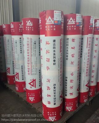 河北建達(dá)品牌SBS防水卷材與國標(biāo)聚酯胎防水卷材 產(chǎn)品特性與市場應(yīng)用解析